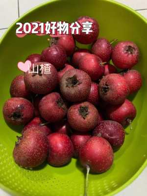 哪里的山楂最好吃(哪里的山楂最好吃最正宗)-第2张图片-厨房小当家 哪里的山楂最好吃(哪里的山楂最好吃最正宗)-第2张图片-厨房小当家