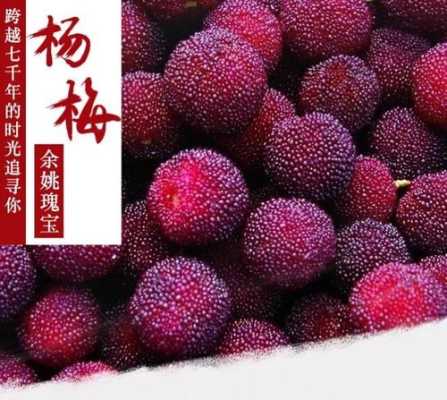 杨梅是哪里的特产（杨梅是哪里的特产?）-第1张图片-厨房小当家