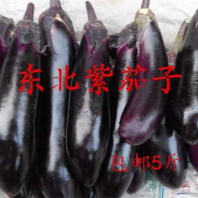 东北哪里的茄子最好,哪里的茄子最出名-第2张图片-厨房小当家 东北哪里的茄子最好,哪里的茄子最出名-第2张图片-厨房小当家
