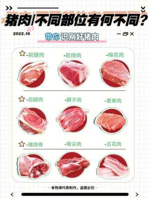 猪肉哪里不能吃(猪肉哪里不可以吃)-第3张图片-厨房小当家 猪肉哪里不能吃(猪肉哪里不可以吃)-第3张图片-厨房小当家