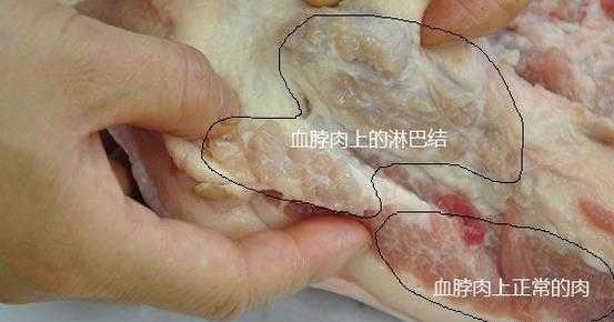 猪肉哪里不能吃(猪肉哪里不可以吃)-第1张图片-厨房小当家 猪肉哪里不能吃(猪肉哪里不可以吃)-第1张图片-厨房小当家