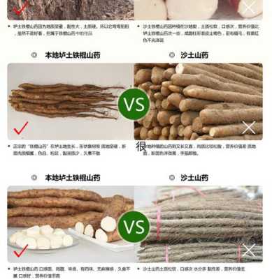 温县铁棍山药哪里产的最正宗,铁棍山药哪里好吃-第1张图片-厨房小当家 温县铁棍山药哪里产的最正宗,铁棍山药哪里好吃-第1张图片-厨房小当家