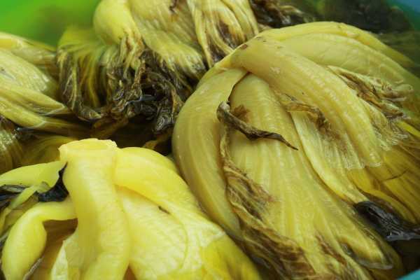 酸菜是哪里的菜(四川酸菜是什么菜)-第2张图片-厨房小当家 酸菜是哪里的菜(四川酸菜是什么菜)-第2张图片-厨房小当家