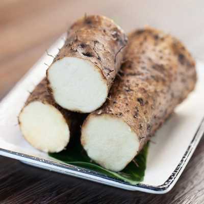 哪里有山药(全国哪里的人最爱吃山药)-第1张图片-厨房小当家 哪里有山药(全国哪里的人最爱吃山药)-第1张图片-厨房小当家