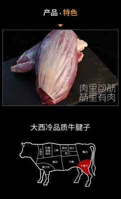 牛腱子是哪里(牛腱是哪里)-第1张图片-厨房小当家 牛腱子是哪里(牛腱是哪里)-第1张图片-厨房小当家