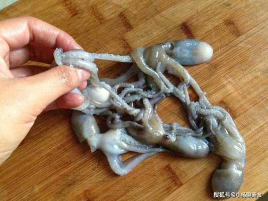 章鱼哪里不能吃(八爪鱼哪个部位不能吃)-第3张图片-厨房小当家 章鱼哪里不能吃(八爪鱼哪个部位不能吃)-第3张图片-厨房小当家