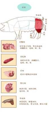 猪哪里最好(猪身上哪个部位的肉最好)-第2张图片-厨房小当家 猪哪里最好(猪身上哪个部位的肉最好)-第2张图片-厨房小当家