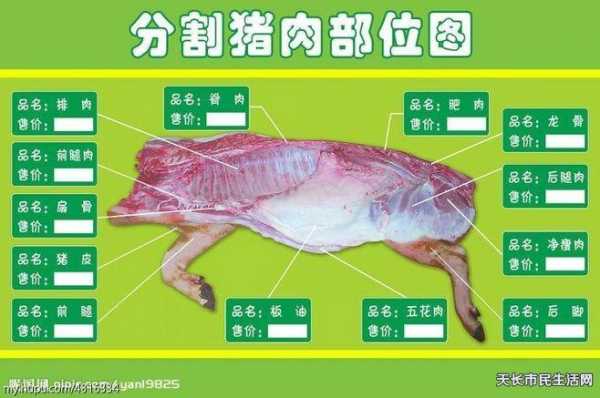 猪哪里最好(猪身上哪个部位的肉最好)-第1张图片-厨房小当家 猪哪里最好(猪身上哪个部位的肉最好)-第1张图片-厨房小当家
