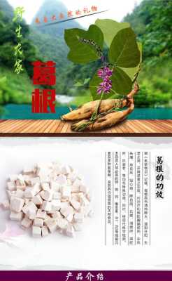葛根粉哪里的好(葛根粉条哪里的最好最正宗)-第2张图片-厨房小当家 葛根粉哪里的好(葛根粉条哪里的最好最正宗)-第2张图片-厨房小当家