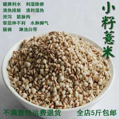 薏米是哪里的(薏米产地哪里最好)-第3张图片-厨房小当家 薏米是哪里的(薏米产地哪里最好)-第3张图片-厨房小当家
