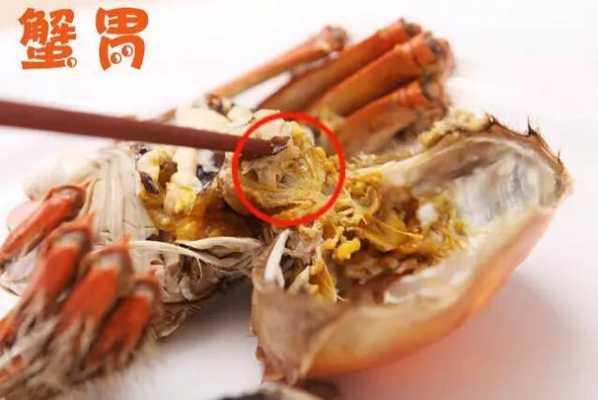 螃蟹吃哪里的肉(螃蟹吃哪里的肉图解)-第3张图片-厨房小当家 螃蟹吃哪里的肉(螃蟹吃哪里的肉图解)-第3张图片-厨房小当家