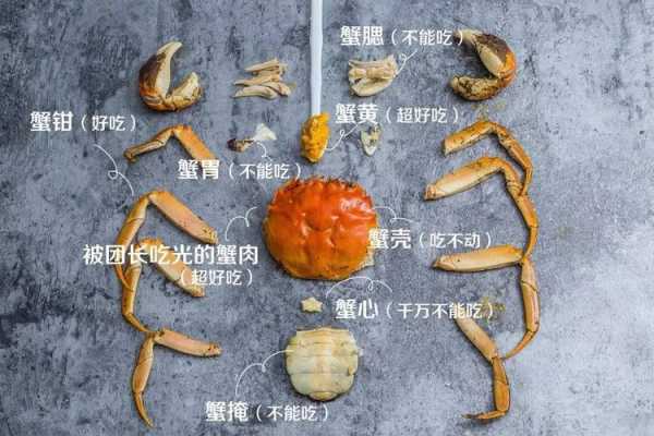 螃蟹的家在哪里(什么天有螃蟹)-第2张图片-厨房小当家 螃蟹的家在哪里(什么天有螃蟹)-第2张图片-厨房小当家