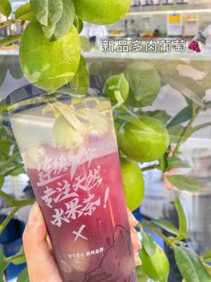 自己研制奶茶能售卖吗,奶茶自创品牌怎么样啊-第3张图片-厨房小当家 自己研制奶茶能售卖吗,奶茶自创品牌怎么样啊-第3张图片-厨房小当家