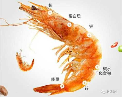 虾头哪里不能吃(大虾哪不能吃,大虾哪些部位不能吃)-第2张图片-厨房小当家 虾头哪里不能吃(大虾哪不能吃,大虾哪些部位不能吃)-第2张图片-厨房小当家