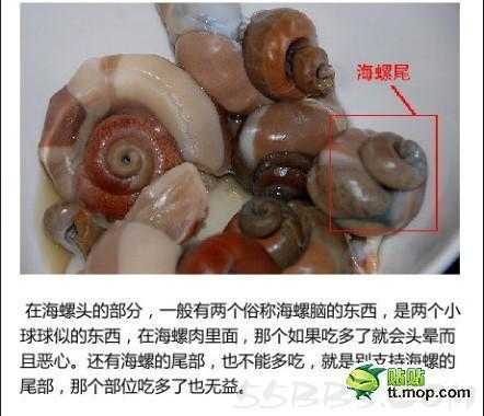 海螺那里不能吃,海螺哪里不能吃图片大全-第1张图片-厨房小当家 海螺那里不能吃,海螺哪里不能吃图片大全-第1张图片-厨房小当家