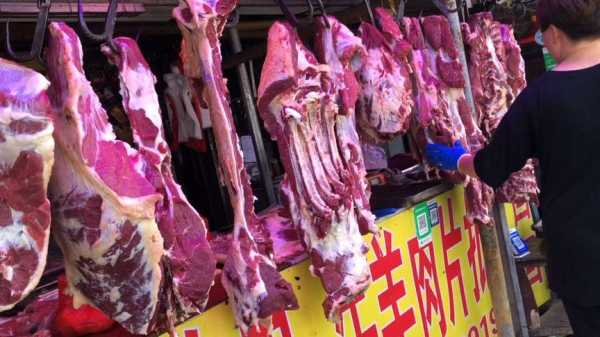 哪里有羊排(济南牛羊肉批发市场)-第1张图片-厨房小当家 哪里有羊排(济南牛羊肉批发市场)-第1张图片-厨房小当家