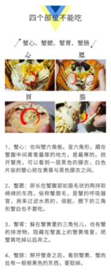 螃蟹的腮在哪里(螃蟹的腮在哪里图片)-第1张图片-厨房小当家 螃蟹的腮在哪里(螃蟹的腮在哪里图片)-第1张图片-厨房小当家