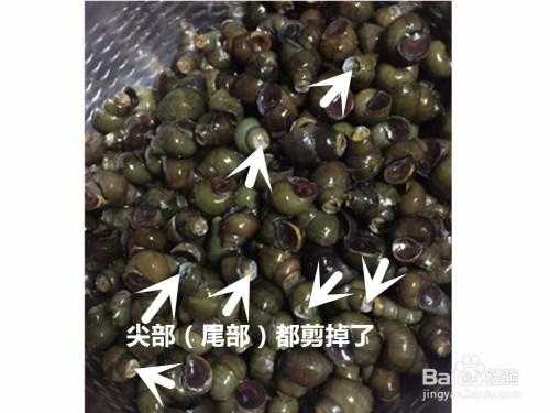 螺蛳吃哪里(田螺哪些部位能吃)-第2张图片-厨房小当家 螺蛳吃哪里(田螺哪些部位能吃)-第2张图片-厨房小当家