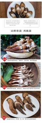 鸡枞菌哪里多,鸡枞是哪里的特产-第3张图片-厨房小当家