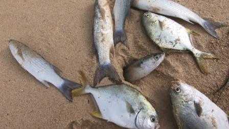 海南赶海最佳地点排行榜,哪里有海鱼卖-第2张图片-厨房小当家 海南赶海最佳地点排行榜,哪里有海鱼卖-第2张图片-厨房小当家