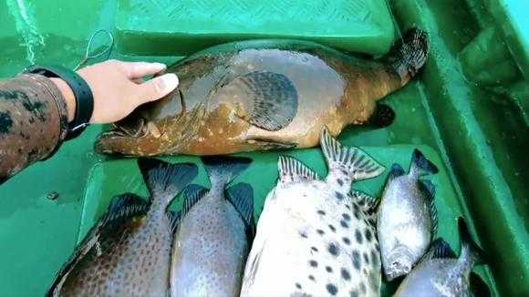 海南赶海最佳地点排行榜,哪里有海鱼卖-第3张图片-厨房小当家 海南赶海最佳地点排行榜,哪里有海鱼卖-第3张图片-厨房小当家