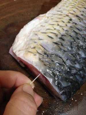 鲤鱼的筋在什么部位,鲤鱼的筋在哪里怎么抽-第2张图片-厨房小当家 鲤鱼的筋在什么部位,鲤鱼的筋在哪里怎么抽-第2张图片-厨房小当家