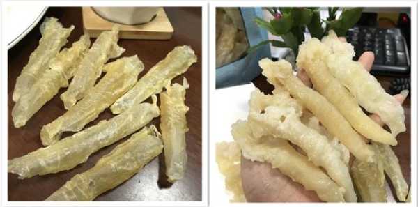 哪里卖鱼胶(鱼胶怎么卖)-第2张图片-厨房小当家 哪里卖鱼胶(鱼胶怎么卖)-第2张图片-厨房小当家