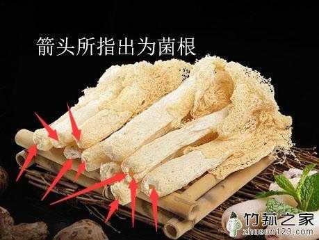 竹荪哪里不能吃(竹荪哪里不能吃图解)-第1张图片-厨房小当家 竹荪哪里不能吃(竹荪哪里不能吃图解)-第1张图片-厨房小当家