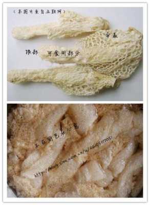 竹荪哪里不能吃(竹荪哪里不能吃图解)-第2张图片-厨房小当家 竹荪哪里不能吃(竹荪哪里不能吃图解)-第2张图片-厨房小当家
