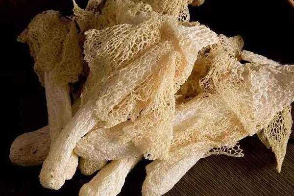 竹荪哪里不能吃(竹荪哪里不能吃图解)-第3张图片-厨房小当家 竹荪哪里不能吃(竹荪哪里不能吃图解)-第3张图片-厨房小当家