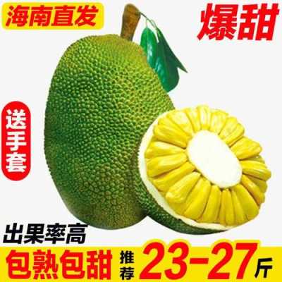 菠萝蜜是进口的吗,菠萝蜜是哪里的水果图片-第3张图片-厨房小当家
