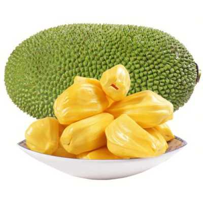菠萝蜜是进口的吗,菠萝蜜是哪里的水果图片-第1张图片-厨房小当家
