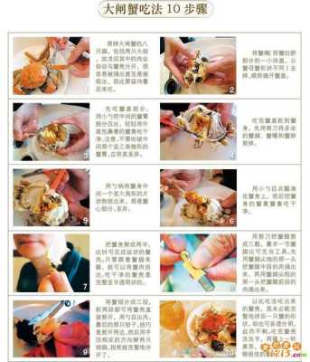 螃蟹哪里能吃图解(螃蟹哪里能吃图解视频)-第2张图片-厨房小当家 螃蟹哪里能吃图解(螃蟹哪里能吃图解视频)-第2张图片-厨房小当家