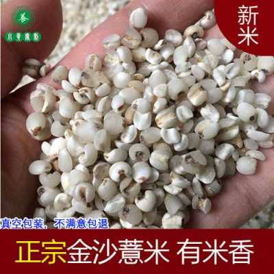 薏米哪里的好,薏米是哪里的特产啊-第3张图片-厨房小当家 薏米哪里的好,薏米是哪里的特产啊-第3张图片-厨房小当家