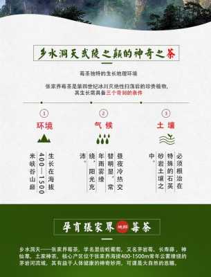 藤茶介绍,山住茶加盟费-第3张图片-厨房小当家 藤茶介绍,山住茶加盟费-第3张图片-厨房小当家