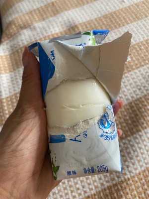 冻酸奶前景怎么样(酸奶冻冰箱能延长保质期吗)-第1张图片-厨房小当家 冻酸奶前景怎么样(酸奶冻冰箱能延长保质期吗)-第1张图片-厨房小当家