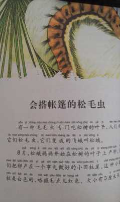松枝记生意怎么样(昆虫记松毛虫的卵群的特点)-第2张图片-厨房小当家 松枝记生意怎么样(昆虫记松毛虫的卵群的特点)-第2张图片-厨房小当家