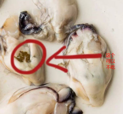 生蚝肉哪里不能吃(生蚝不能吃的部位是哪里)-第2张图片-厨房小当家 生蚝肉哪里不能吃(生蚝不能吃的部位是哪里)-第2张图片-厨房小当家