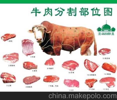 牛肉在消化道里的消化过程,求答案,急急急急,哪里吃牛头宴最正宗-第1张图片-厨房小当家 牛肉在消化道里的消化过程,求答案,急急急急,哪里吃牛头宴最正宗-第1张图片-厨房小当家