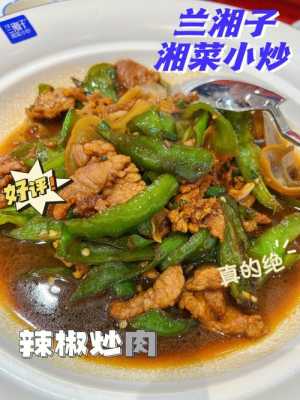 辣椒炒肉是哪里的菜(兰湘子招牌辣椒炒肉的做法)-第2张图片-厨房小当家 辣椒炒肉是哪里的菜(兰湘子招牌辣椒炒肉的做法)-第2张图片-厨房小当家
