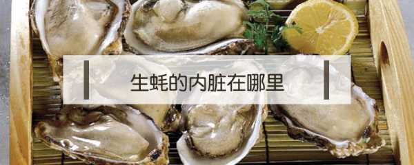 生蚝的内脏是什么样子的,生蚝的内脏在哪里图片-第3张图片-厨房小当家 生蚝的内脏是什么样子的,生蚝的内脏在哪里图片-第3张图片-厨房小当家