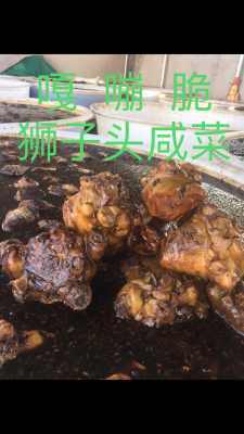 狮子头是哪里的特产(狮子头咸菜哪里产的)-第1张图片-厨房小当家 狮子头是哪里的特产(狮子头咸菜哪里产的)-第1张图片-厨房小当家