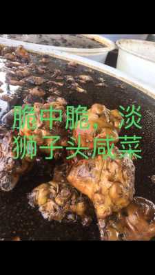 狮子头是哪里的特产(狮子头咸菜哪里产的)-第2张图片-厨房小当家 狮子头是哪里的特产(狮子头咸菜哪里产的)-第2张图片-厨房小当家