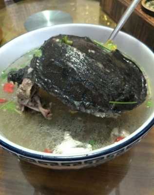 甲鱼哪里好吃(甲鱼哪里好吃又便宜)-第3张图片-厨房小当家 甲鱼哪里好吃(甲鱼哪里好吃又便宜)-第3张图片-厨房小当家