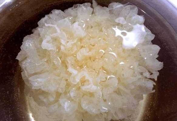 银耳在哪里（银耳哪里的品质好）-第3张图片-厨房小当家