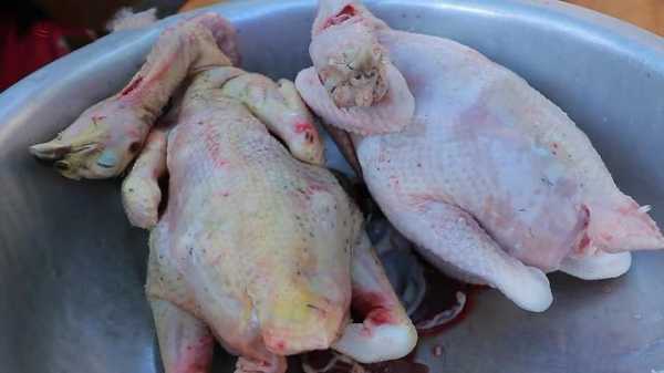 鸡肉哪里最嫩(为什么外面吃的鸡肉特别嫩)-第2张图片-厨房小当家 鸡肉哪里最嫩(为什么外面吃的鸡肉特别嫩)-第2张图片-厨房小当家