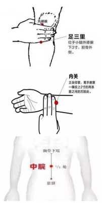 胃痛按哪里可以缓解(胃疼怎么缓解)-第2张图片-厨房小当家 胃痛按哪里可以缓解(胃疼怎么缓解)-第2张图片-厨房小当家