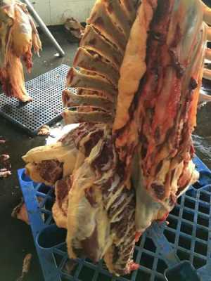 牛肉产地排名,四川黄牛肉哪里出名-第1张图片-厨房小当家 牛肉产地排名,四川黄牛肉哪里出名-第1张图片-厨房小当家