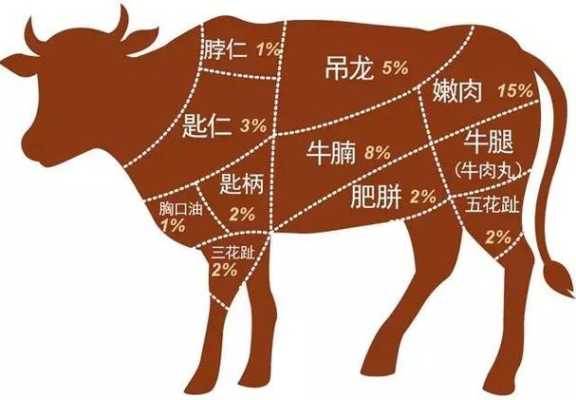 为什么牛羊肉的肥肉好吃,牛肉哪里肥瘦相间-第1张图片-厨房小当家 为什么牛羊肉的肥肉好吃,牛肉哪里肥瘦相间-第1张图片-厨房小当家