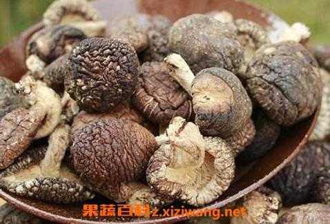 放了五年的香菇还可以吃吗,香菇哪里不能吃?-第2张图片-厨房小当家 放了五年的香菇还可以吃吗,香菇哪里不能吃?-第2张图片-厨房小当家